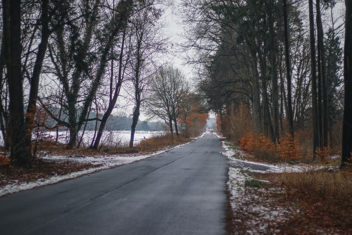 Road through a winter forest with snow