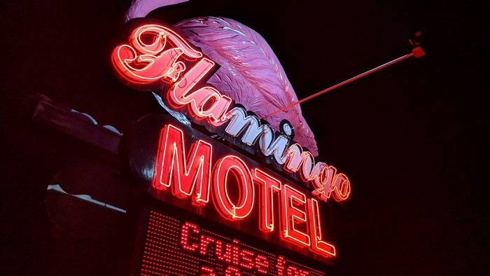 Flamingo Motel neon sign at night