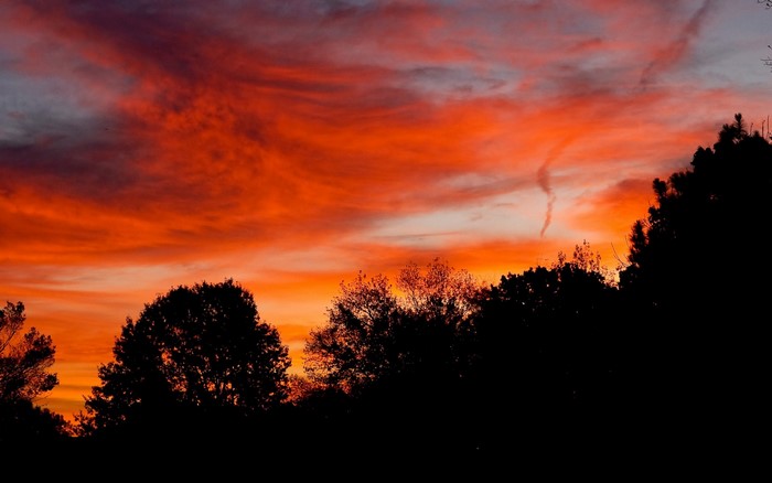 Fiery sunset over silhouetted trees and clouds