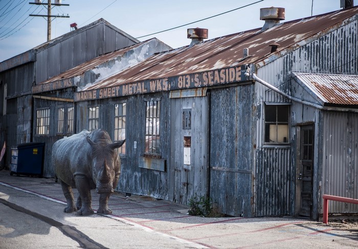 Rhino in front of Marine Sheet Metal Works, Seaside
