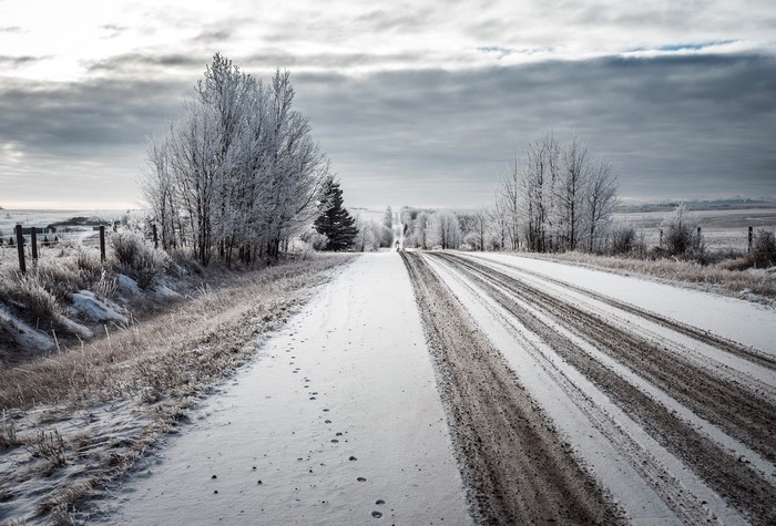 Snowy road in winter with frosted trees