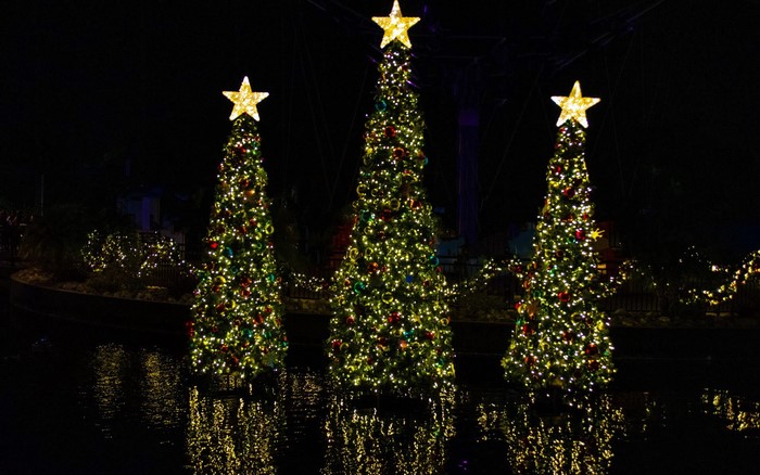 Three illuminated Christmas trees with stars on top reflected in water at night