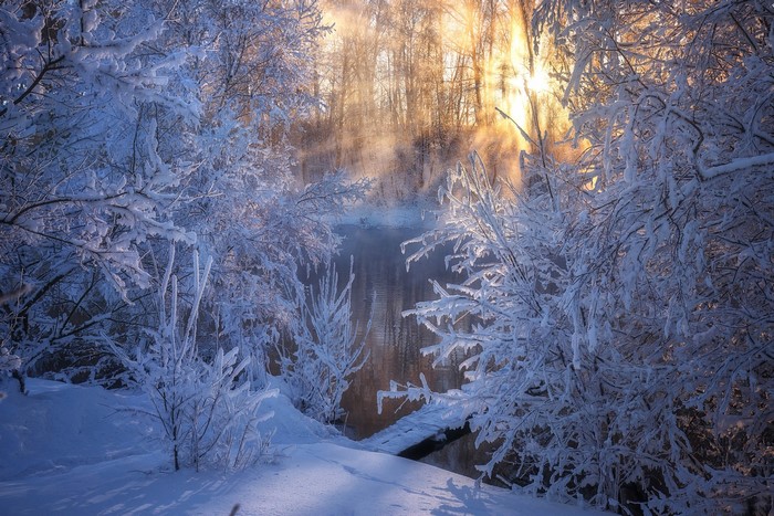 Winter forest with sunbeams over a frozen river