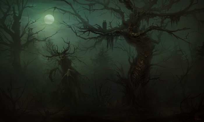 Dark forest with a creature and an owl under the moon