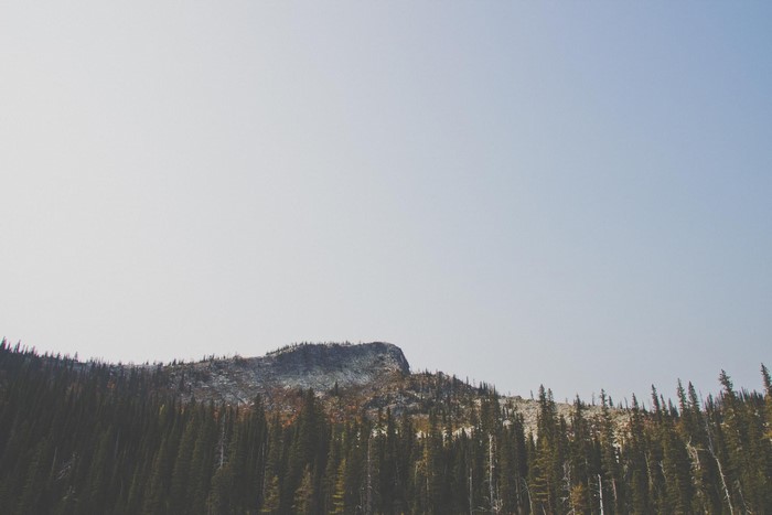 Mountain peak above a dense evergreen forest