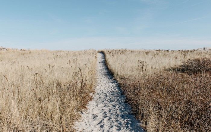 Sandy pathway through dry grass under a blue sky