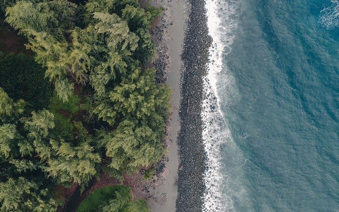 Aerial view of a rocky coast with trees and ocean waves