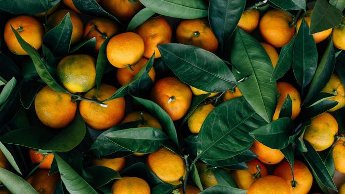 Oranges with green leaves