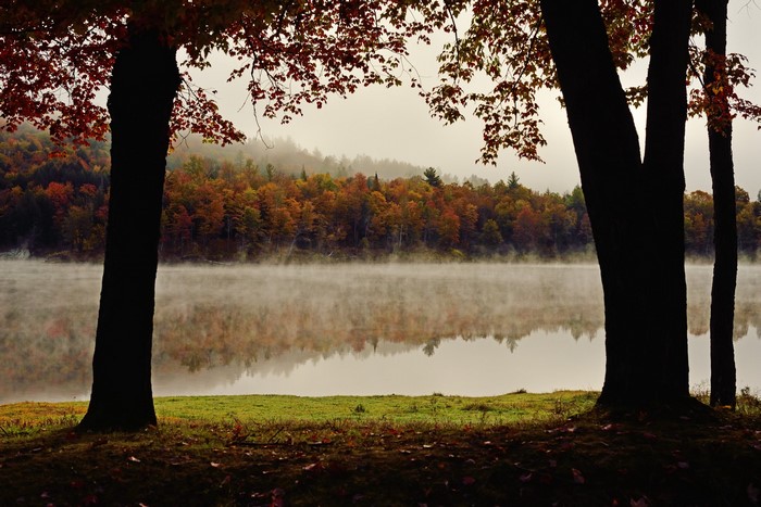 Misty lake surrounded by autumn trees and foreground trees