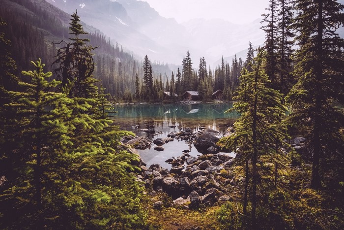 Cabins by a lake in a misty forest landscape