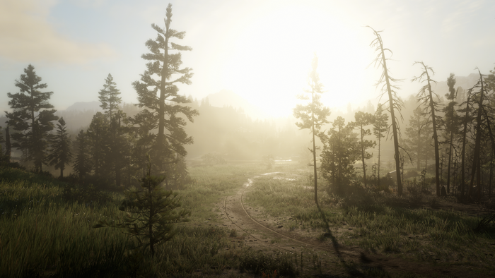 Red Dead Redemption 2 screenshot of a foggy forest path