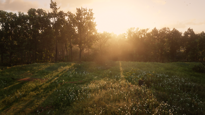 Red Dead Redemption 2 screenshot