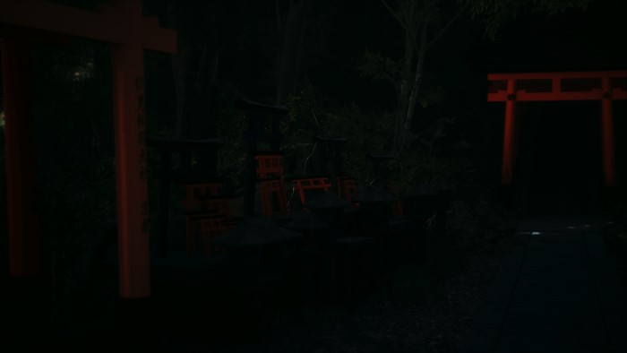 Dark Fushimi Inari-taisha with Torii Gates