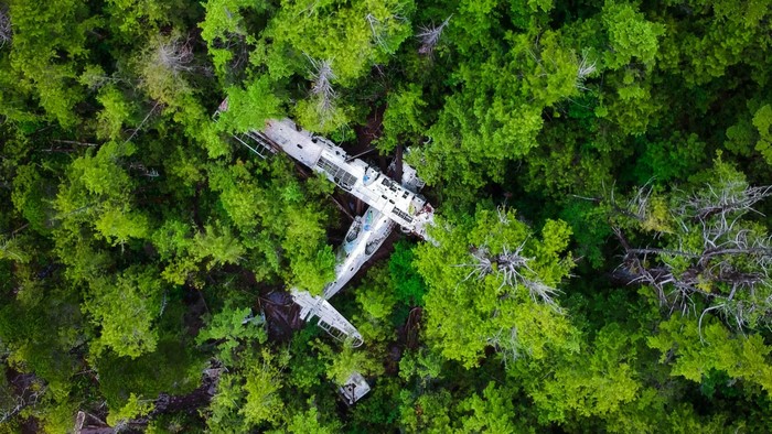Overhead view of a crashed airplane in a dense forest