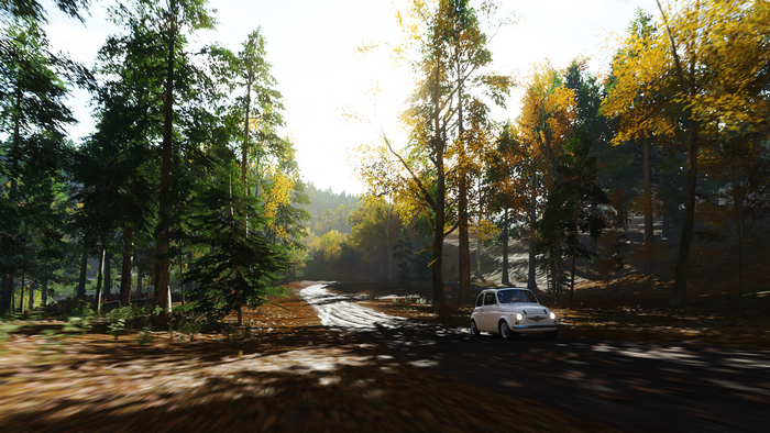 Fiat 500 driving on a forest road in Forza