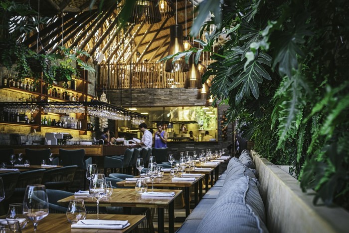 Restaurant interior with plants and seating