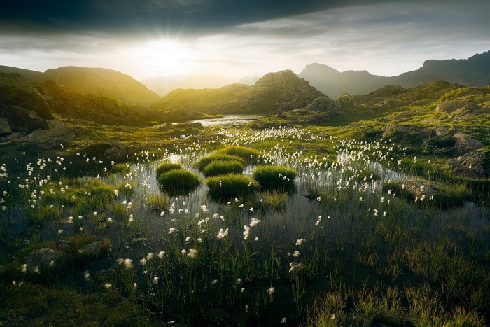 Mountain landscape with cotton grass and pond
