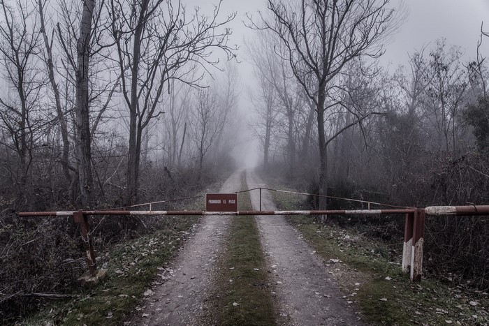 Road blocked by a barrier in a foggy forest