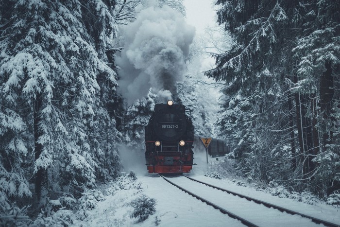 Steam train traveling through a snowy forest