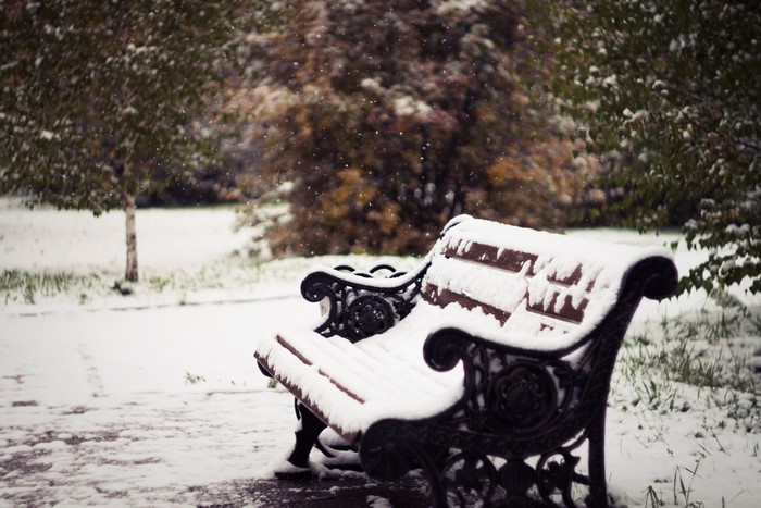 Snow covered park bench in winter