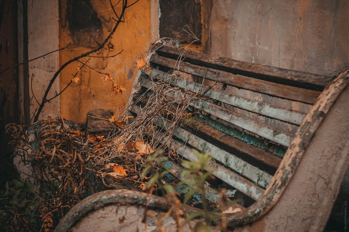 Old wooden bench with autumn foliage