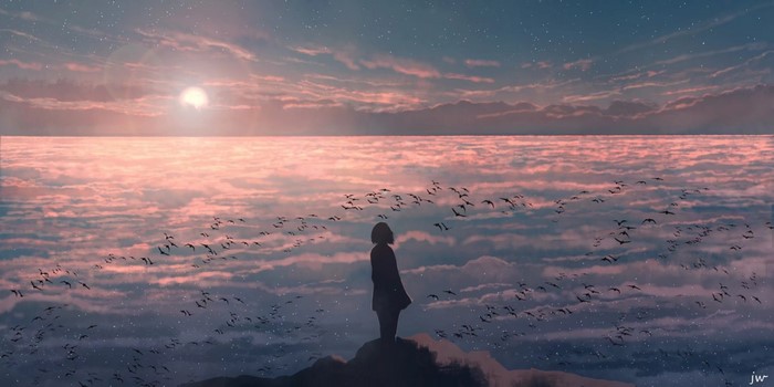 Girl standing on a rock watching birds fly at sunset