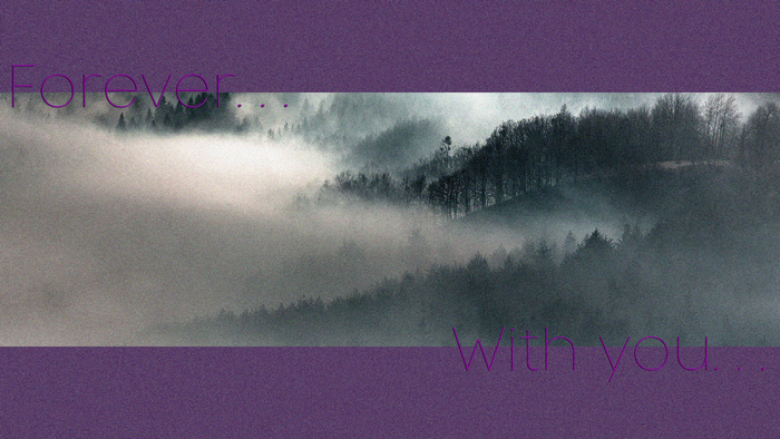 Foggy forest with text overlay