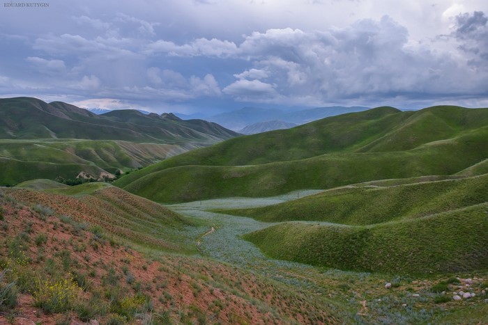Rolling green hills and valleys under a cloudy sky