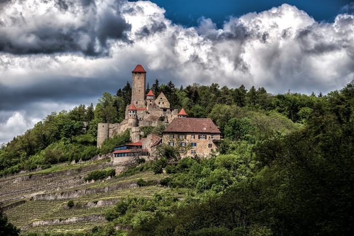 Castle on a hill in Germany with vineyards