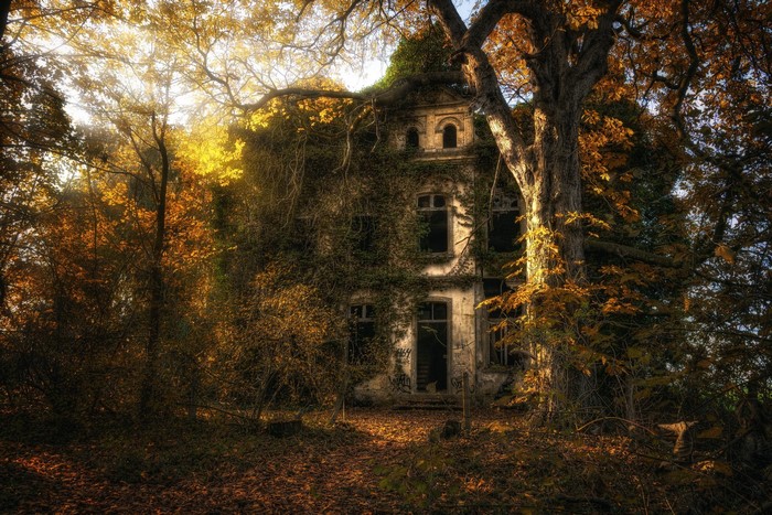 Abandoned overgrown house in fall forest