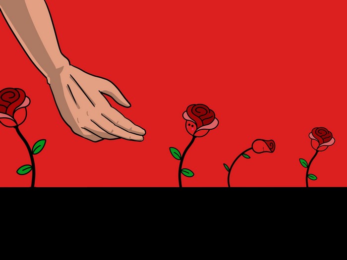 Hand reaching towards roses on red background