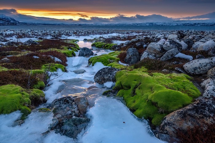 Frozen stream with mossy rocks and sunset sky