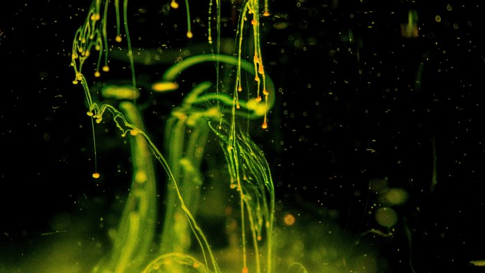 Abstract Green Ink Droplets in Water 4K