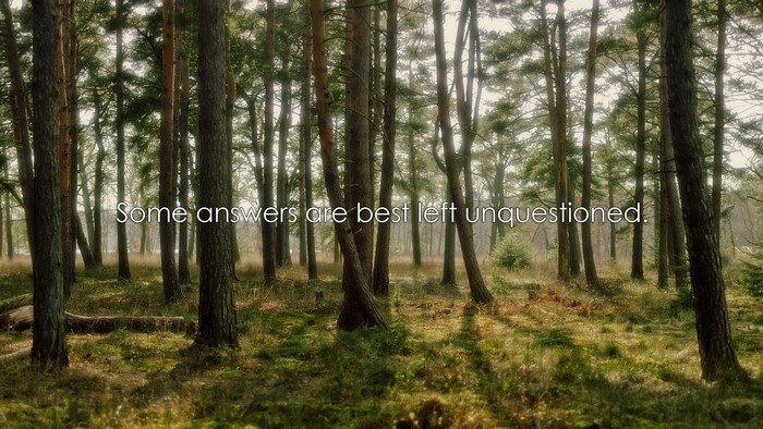 Some answers are best left unquestioned quote in forest