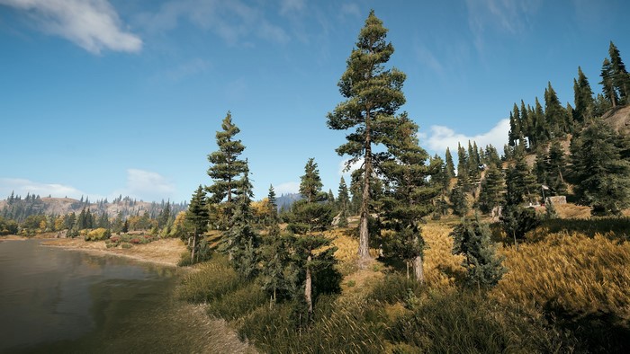 Far Cry 5 landscape with trees and a lake
