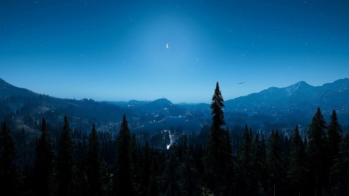 Far Cry 5 landscape at night with moon and stars