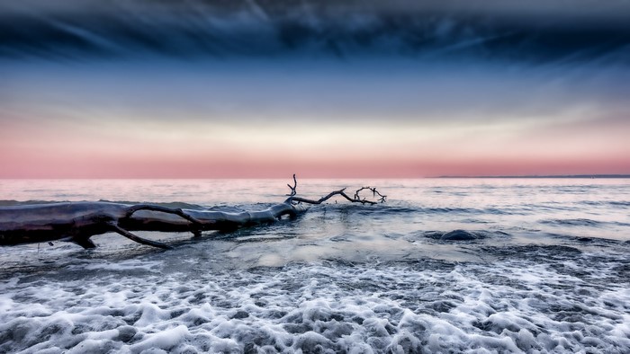 Driftwood on the shore at sunrise