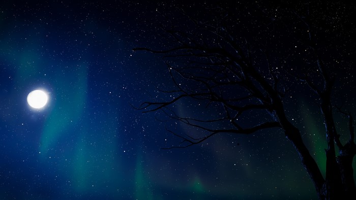 Night sky with moon and aurora borealis over trees
