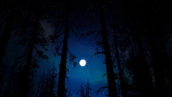Moonlit forest with stars and aurora