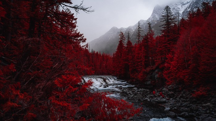Red forest with river and mountains