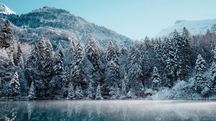 Snowy forest and mountains reflected in a lake