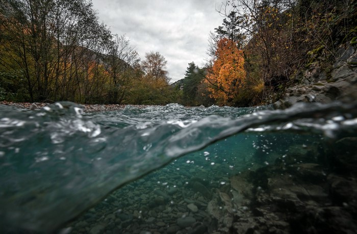 Split view of a river in fall with trees and rocks