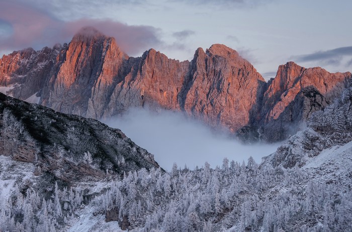 Winter mountain landscape with snowy trees and fog