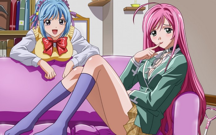 Kurono Kurumu and Akashiya Moka from Rosario + Vampire