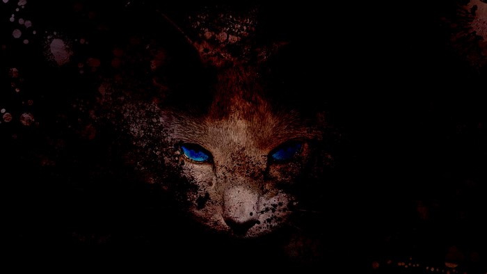 Close-up of a cat with glowing blue eyes