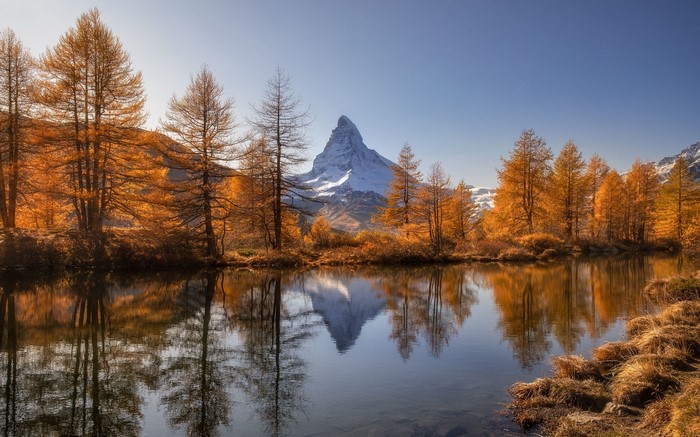 Matterhorn mountain reflected in a lake with autumn trees
