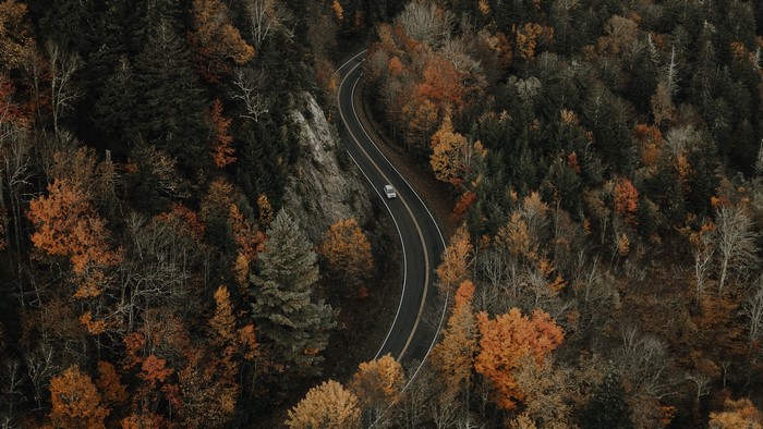 Aerial view of a winding road through an autumn forest