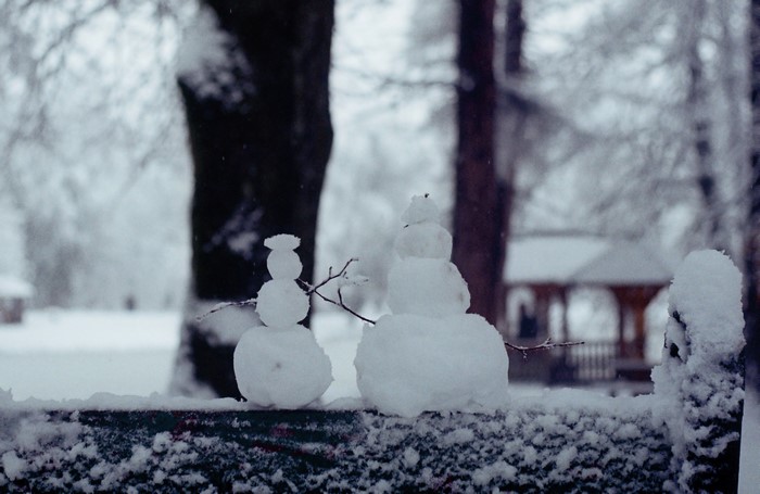 Two snowmen on a snowy day