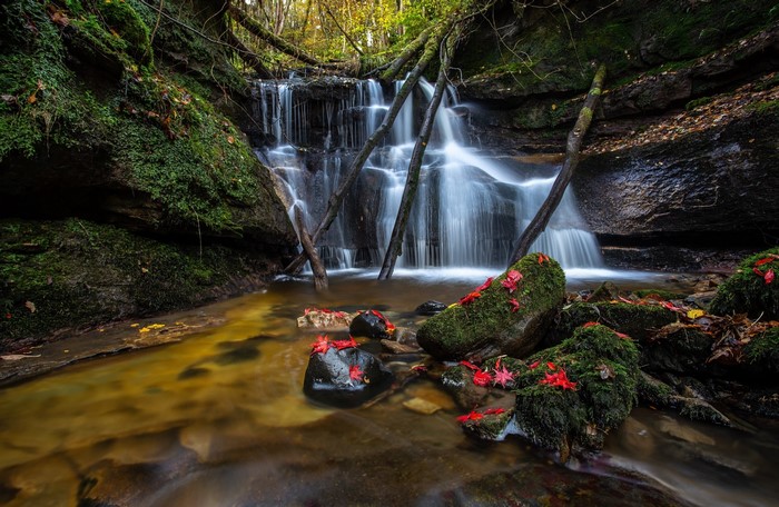 Waterfall in a mossy forest with red leaves