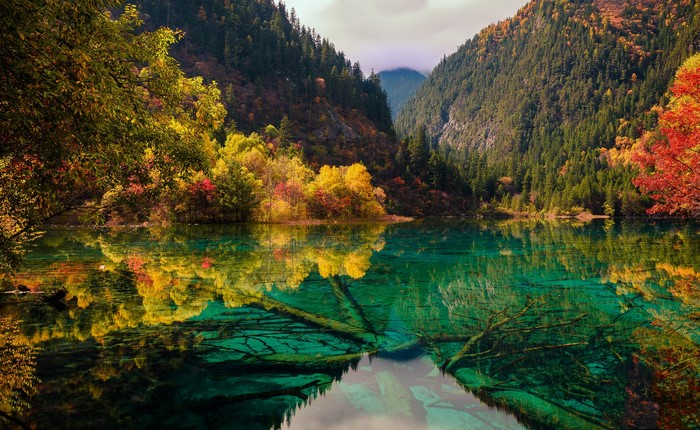 Colorful autumn trees reflected in a clear mountain lake